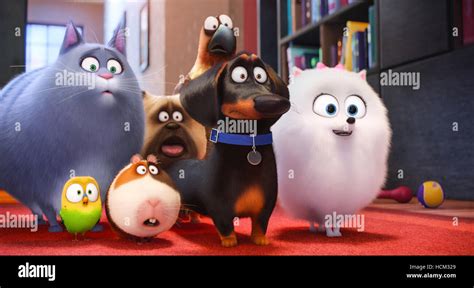 chloe secret life of pets|tiberius secret life of pets.